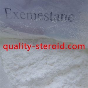 Exemestane Aromasin Antiestrogen Hormone anticarcinogen  
