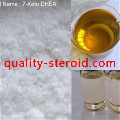 7 Keto DHEA(7-Keto-dehydroepiandrosterone)