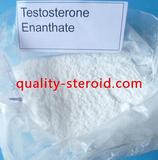 Testosterone enanthate Powder Steroid 