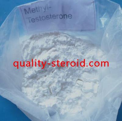 17 alpha Methyltestosterone