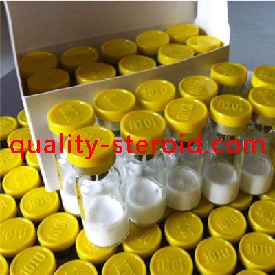 Triptorelin Acetate Buy Bodybuilding Supplements