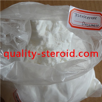 Testosterone Decanoate(Test Deca)